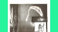 voiceofthesigns2